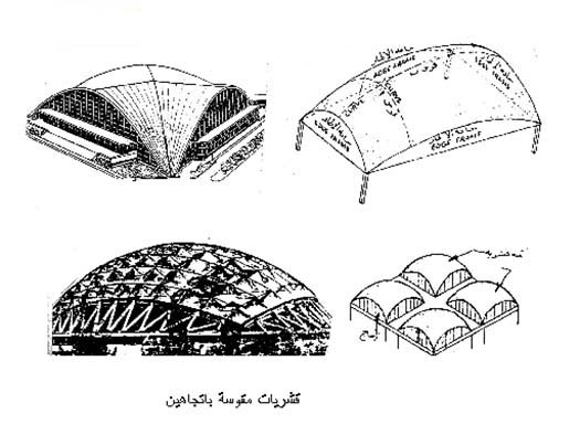 القشريات